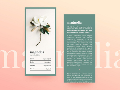 damdabe • love your plants app clean design flat green invision invision studio ios lettering minimal mobile plants type typography ui ux vector web website