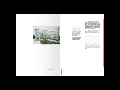 Juurlink [+] Geluk Booklet