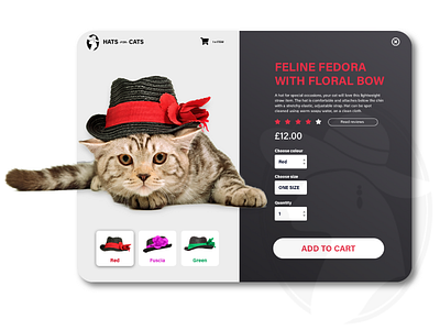 Daily UI Challenge 012 - E-Commerce Shop (single item) 012 12 add to cart cats checkout daily ui daily ui 012 daily ui challenge dailyui dailyui012 dailyuichallenge e commerce e commerce shop e commerce website ecommerce hats shop single item ui user interface