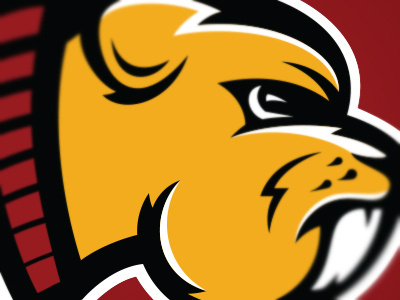 Minnesota Golden Gophers, logo branding college golden gopher gophers identity logo mascot rebrand sports team university