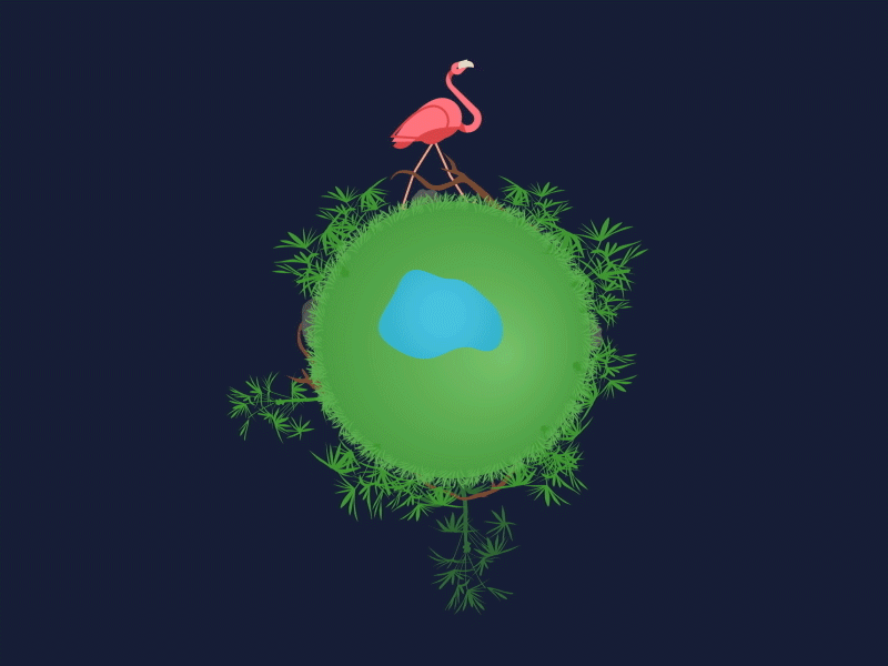 An endless hike on a tiny world cycle flamingo loop tiny walk world