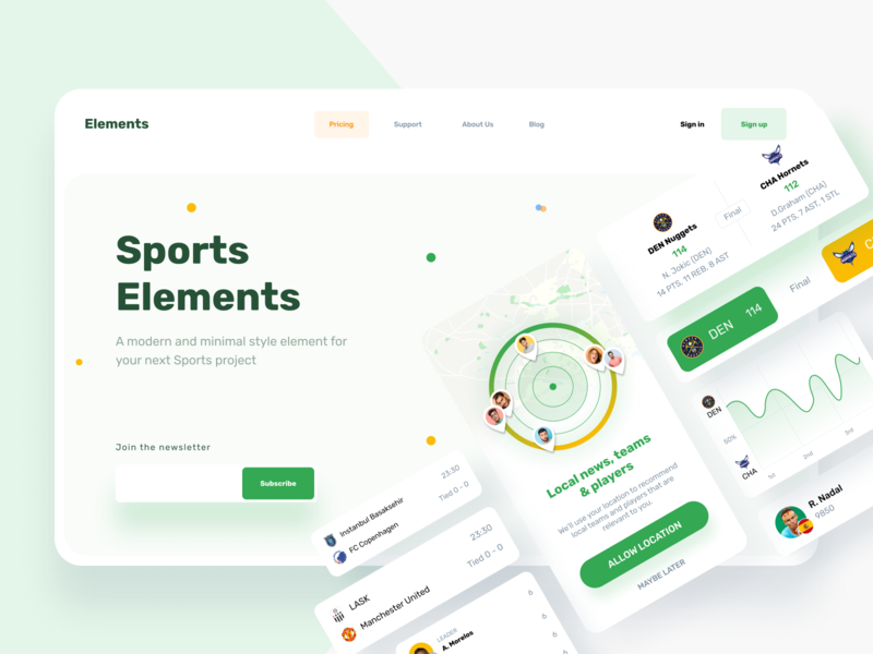 Sports Elements web design websites website web