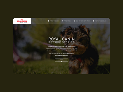 Royal Canin - Website Design design figma ui uidesign uiux uiuxdesign uxdesign web design website design