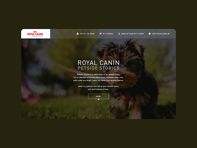 Royal Canin - Website Design