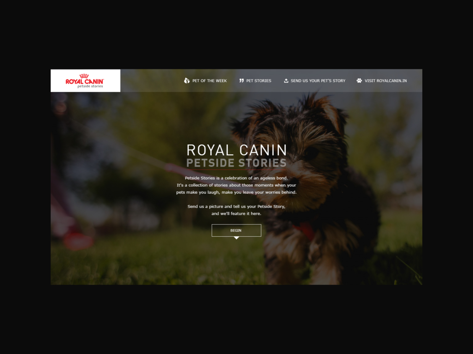 Royal canin outlet website