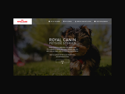 Royal Canin - Website Design design dogs figma royalcanin sketch ui uidesign uiux uxdesign webdesign website design websitedesign xd