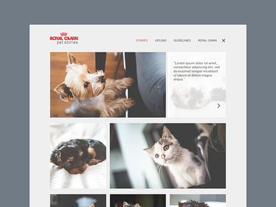 Royal Canin Petside Stories - Website Design cats design dogs figma royalcanin sketch ui uidesign uiux uxdesign webdesign website website design websitedesign xd