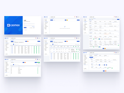 Casmex - Dashboard Design