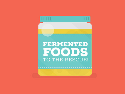 Fermented Foods blog bottle cover fermented illustration flat organic post simple