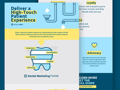 Infographic brand dental dentist design diagram experience flat funnel illustration infographic infographic design leadgen model simple tooth type typography vector