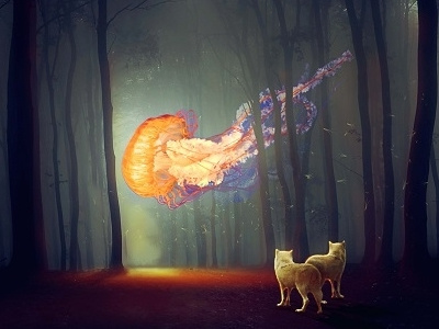 A fiery Jelly in the Woods astonishment dark jellyfish night wierd wolf woods