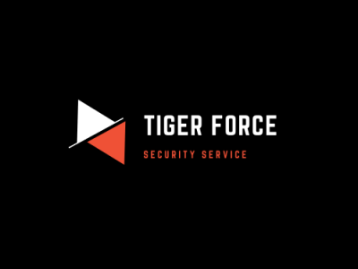 Logo design for a security providing firm graphic design graphic designer illustrator logo logo deisgn photoshop