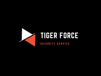 Logo design for a security providing firm