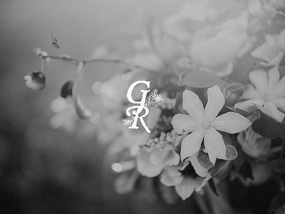 G Riggieri Photography Logo branding design graphic design identity identity design illustration lettering logo photography photography logo