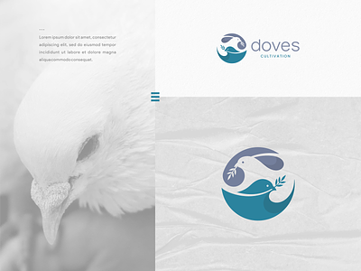 Doves Logo animal animal logo brand identity branding design doves illustration kiss logo loves nest nest logo pigeon visual identity