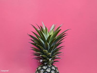 Pink Pineapple color fruit fun funky photo pineapple pink summer tropical