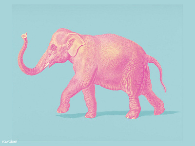 Pink Elephant animal art color design elephant illustration pink vintage