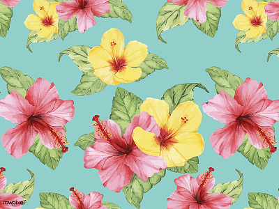 Flora Patterns: Hibiscus design flora floral flower graphic graphic design illustration pattern pattern design vector