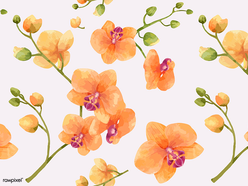 Flora Patterns: Orchid orchid floral flora flower pattern design pattern watercolor graphic graphic design illustration vector design