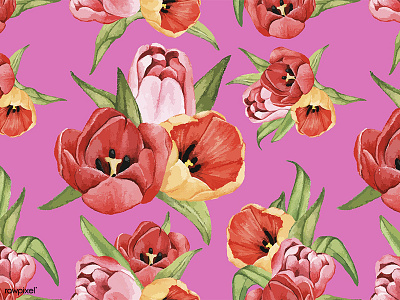 Flora Patterns Tulip design flora floral flower graphic graphic design illustration pattern pattern design tulip vector watercolor