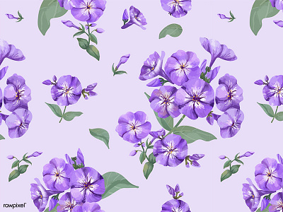 Flora Patterns: Phlox design flora floral flower graphic graphic design hand drawn illustration pattern pattern design purple vector water color