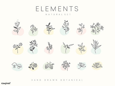 Botanical Design Elements botanical design flower icons illustration logo minimal modern vector