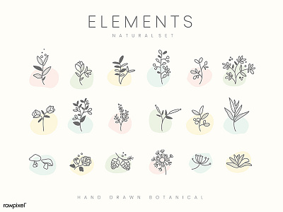 Botanical Design Elements