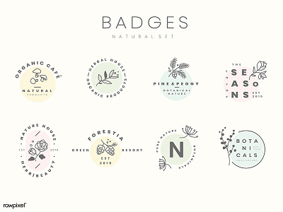 Botanical Badge Set botanical design flower graphic graphic design icon illustration logo minimal modern pastel vector