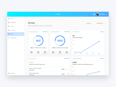 Dashboard Concept