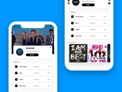 Mobile Music App