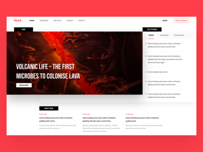 News Homepage Concept Grid