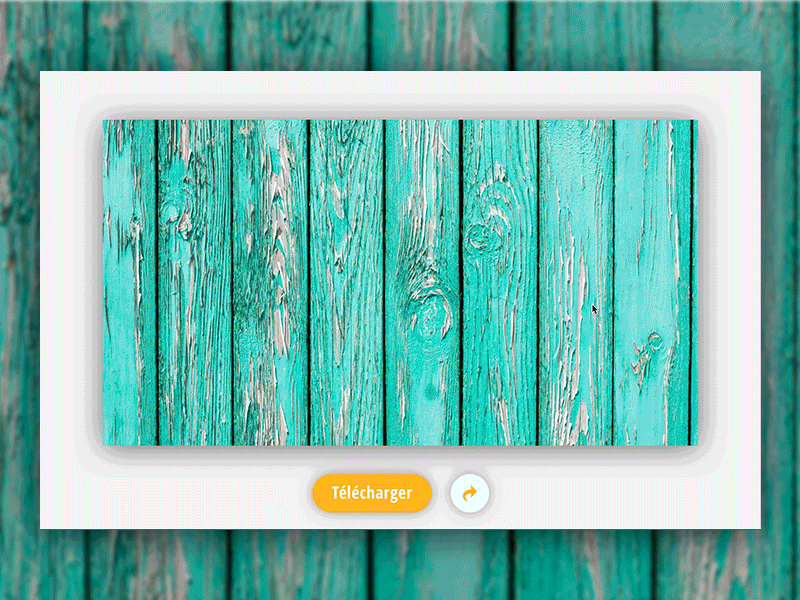 Daily UI #010 Share animation