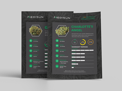 Product Spec Sheet Design for Cannabis cannabis design graphic design sell sheet spec sheet
