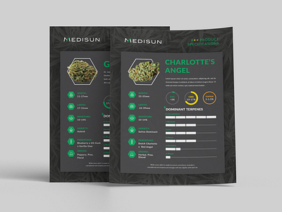 Product Spec Sheet Design for Cannabis