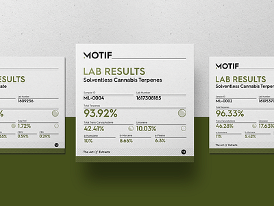 Social Media Infographic For Cannabis cannabis design cannabis graphic design design graphic design infographic infographic design social media social media design