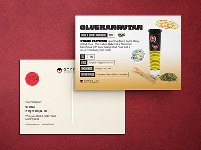 Product Info Postcard Design for Cannabis cannabis design cannabis postcard design graphic design mock up postcard design