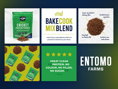 Amazon Shopping Graphic Design for Alternative Snack Company amazon design amazon graphics design food design food graphics graphic design