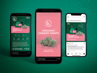 Social Media Branding for Cannabis Product branding cannabis branding cannabis design cannabis social media cannabis social media design design graphic design mock up
