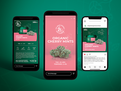 Social Media Branding for Cannabis Product