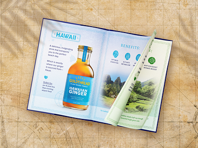 Ginger Drink Booklet booklet drink ginger graphic design passport print