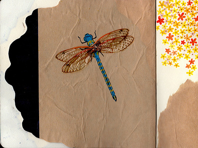 Dragonfly Study collage illustration layered paper mixed media watercolor