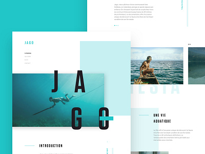 JAGO - One page design blocks design ergonomy experience interface landing one page ui user ux web