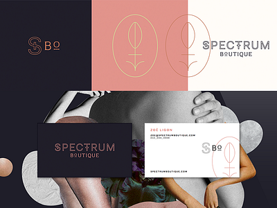 Didn't Pass _ Spectrum 02 art boutique brand branding collage design identity logo seal sex shop typography
