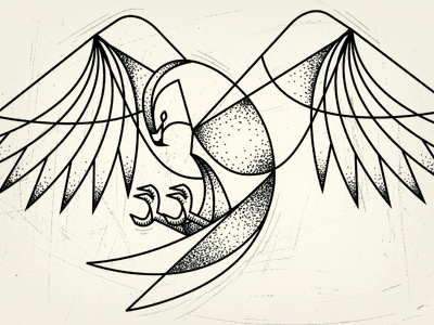 Hawktoo Two bird drawing hawk ink line art pen sketch tattoo vector