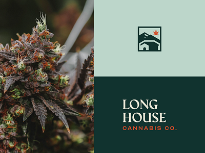 Longhouse Cannabis Brand