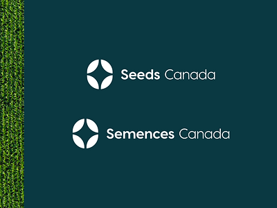 Seeds Canada Bilingual Brand Identity agriculture brand identity brand standards branding farm logo farmer field guidelines happy icon identity logo mark minimal natural nature organic plants veggies wheat