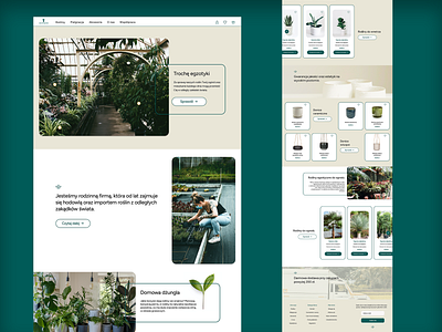 Plants shop | UI | e-commerce app design graphic design plant plants shop ui