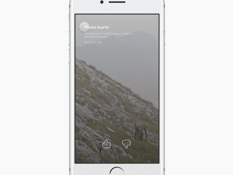 Curated photos app Onboarding curated framer gallery interaction minimal photo app