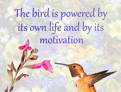 The bird is powered by its own life and by its motivation impressed