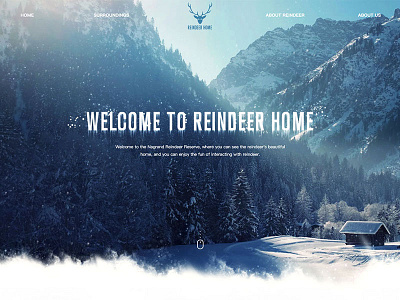 Reindeer home clean design home theme web